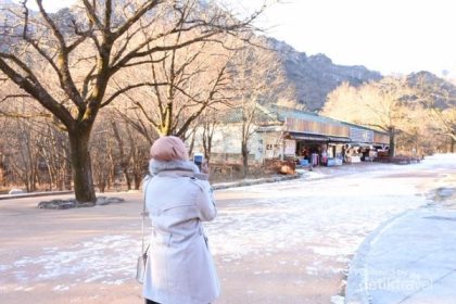 Cuaca Dingin di Korea