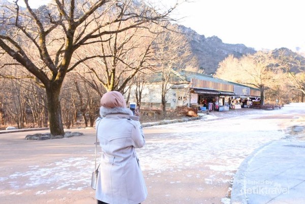 Cuaca Dingin di Korea