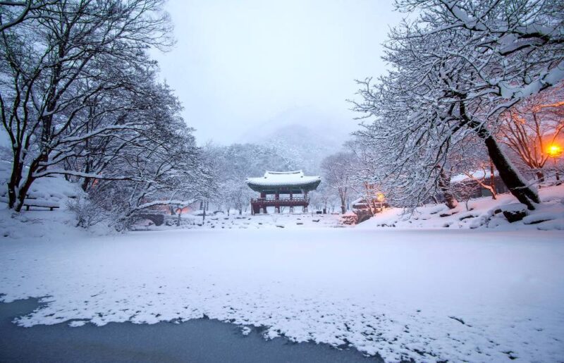Cuaca Dingin di Korea