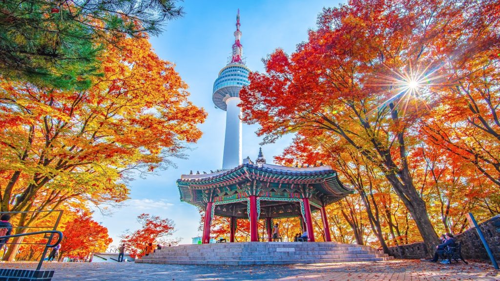 Daftar Pekerjaan Gaji Tinggi di Korea