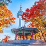 Daftar Pekerjaan Gaji Tinggi di Korea