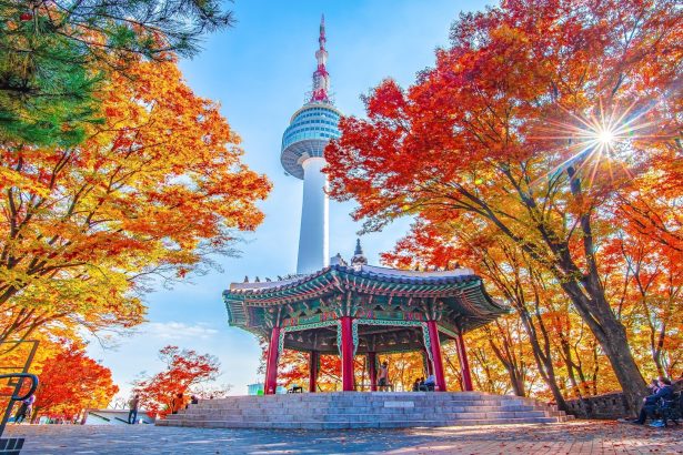 Daftar Pekerjaan Gaji Tinggi di Korea