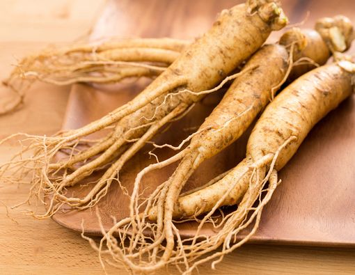 Ginseng
