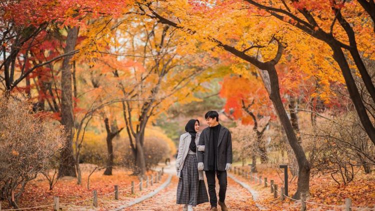 Itinerary Liburan Hemat ke Korea Selatan