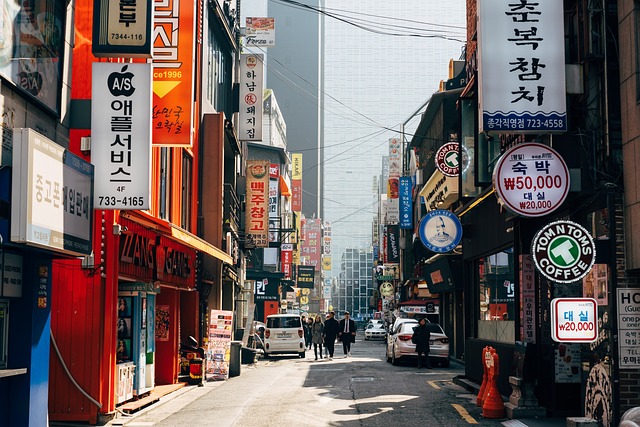 Syarat Visa Pelajar D2 Korea Selatan untuk Mahasiswa