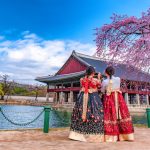 Traveling Ke Seoul