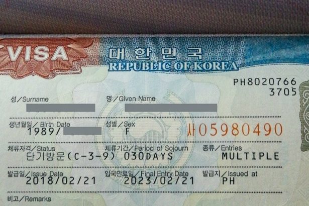 Visa Korea Selatan