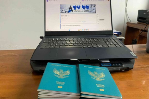 LPK Korea Resmi vs Ilegal